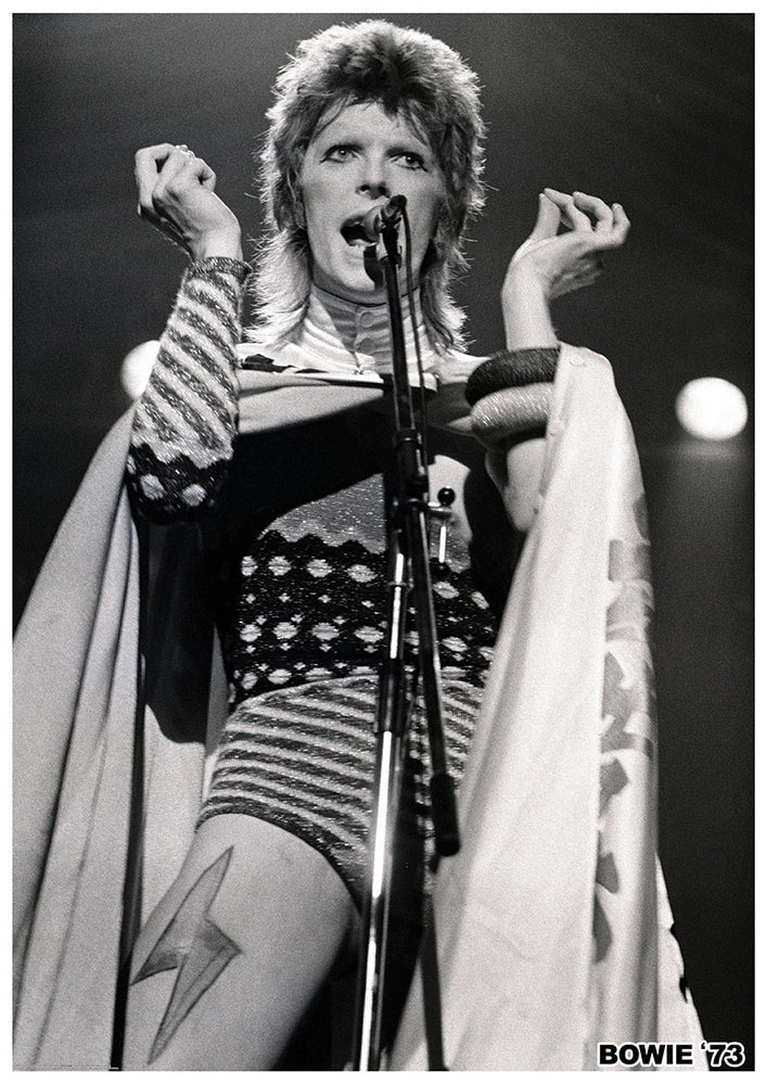 David Bowie Ziggy Stardust Tour Live 1973 B&W Maxi Poster