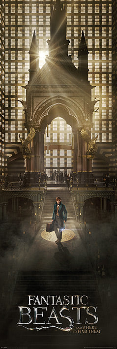 Fantastic Beasts Teaser Official Licensed 158x53cm Door Poster