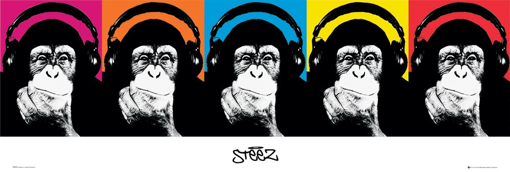 Steez Monkee 158x53cm Panoramic Door Poster