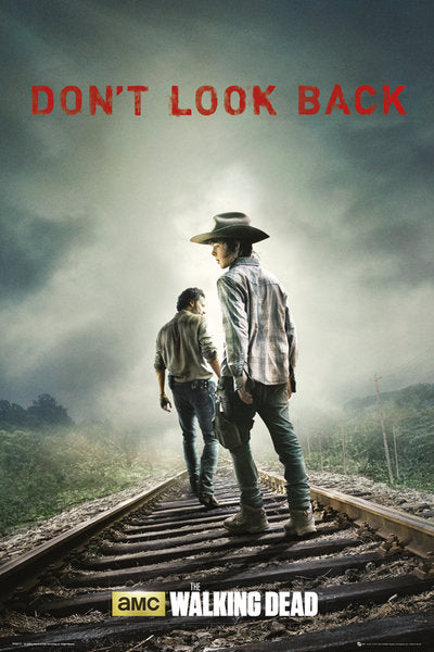 The Walking Dead Don't Look Back Maxi Poster