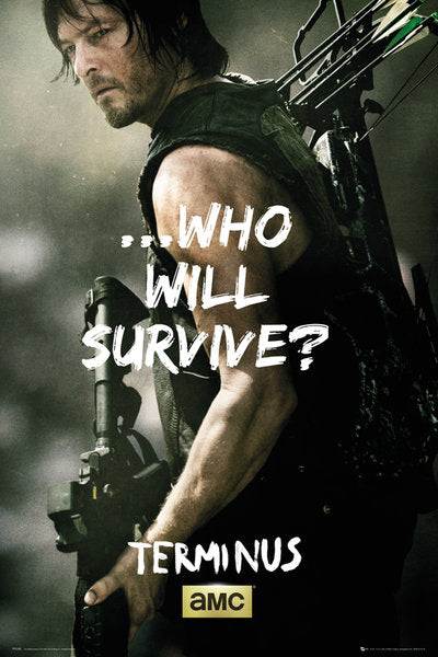 The Walking Dead Daryl Survive Maxi Poster