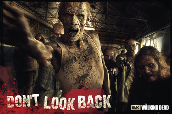 The Walking Dead Zombies Don't Look Back Maxi Poster