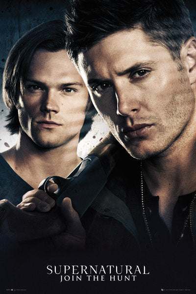 Supernatural Brothers Maxi Poster