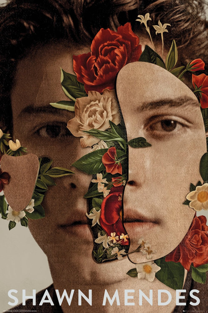 Shawn Mendes Flowers Maxi Poster