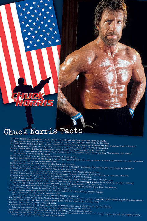 Chuck Norris 50 Facts Maxi Poster