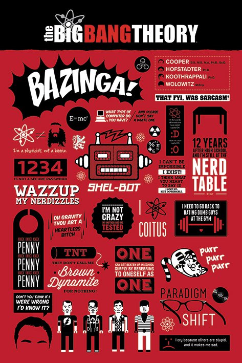 The Big Bang Theory Infographic Maxi Poster