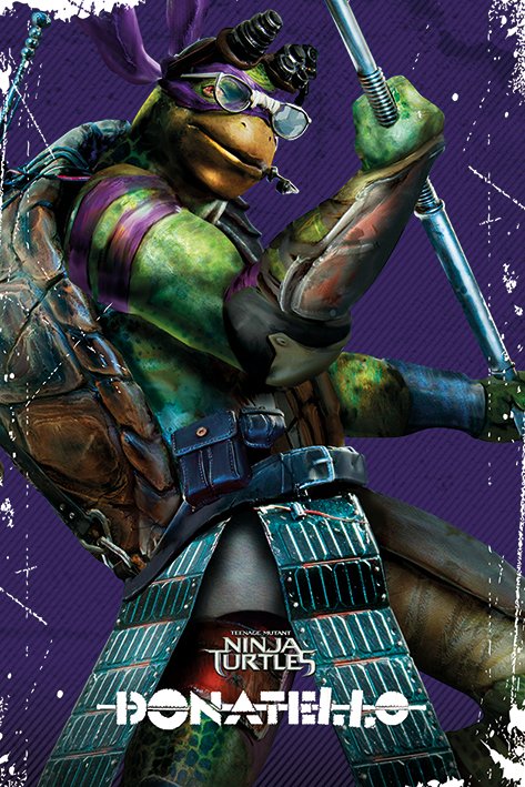 Teenage Mutant Ninja Turtles Donatello Maxi Poster