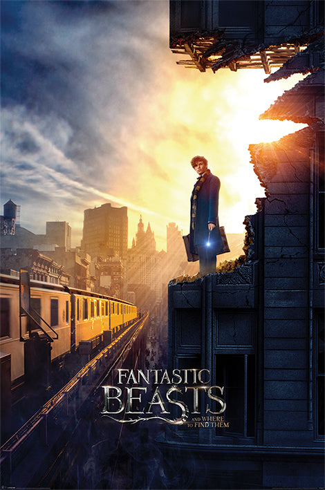 Fantastic Beasts Dusk Maxi Poster